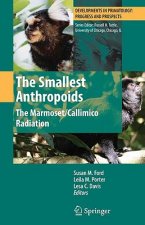 Smallest Anthropoids