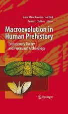 Macroevolution in Human Prehistory