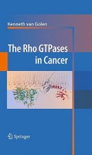 Rho GTPases in Cancer