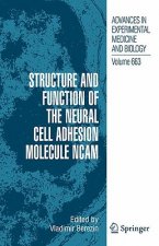 Structure and Function of the Neural Cell Adhesion Molecule NCAM