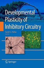 Developmental Plasticity of Inhibitory Circuitry