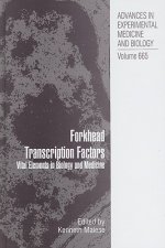 Forkhead Transcription Factors