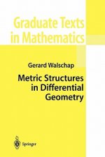 Metric Structures in Differential Geometry