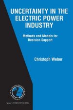 Uncertainty in the Electric Power Industry