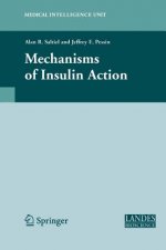 Mechanisms of Insulin Action