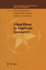 Algorithms in Algebraic Geometry