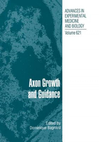 Axon Growth and Guidance