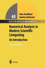Numerical Analysis in Modern Scientific Computing