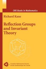 Reflection Groups and Invariant Theory