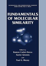 Fundamentals of Molecular Similarity