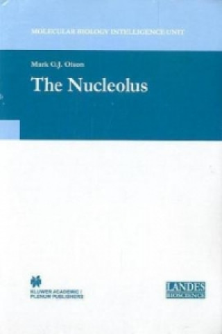 Nucleolus