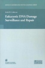 Eukaryotic DNA Damage Surveillance and Repair