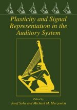 Plasticity and Signal Representation in the Auditory System