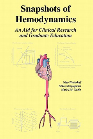 Snapshots of Hemodynamics