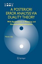 Posteriori Error Analysis Via Duality Theory
