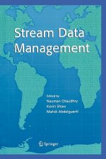 Stream Data Management