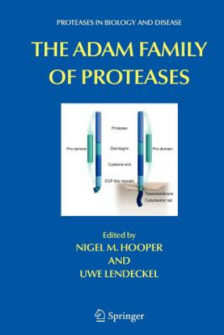 ADAM Family of Proteases