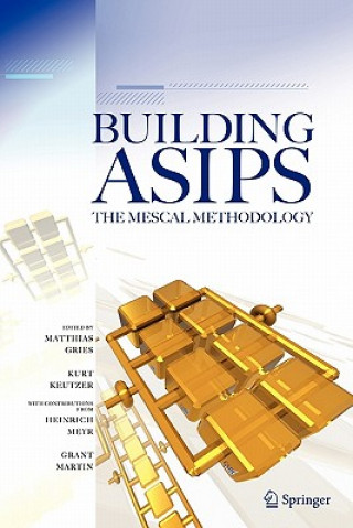 Building ASIPs:  The Mescal Methodology