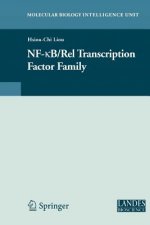 NF-kB/Rel Transcription Factor Family