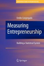 Measuring Entrepreneurship