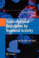 Transcriptional Regulation by Neuronal Activity