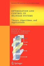 Optimization and Control of Bilinear Systems