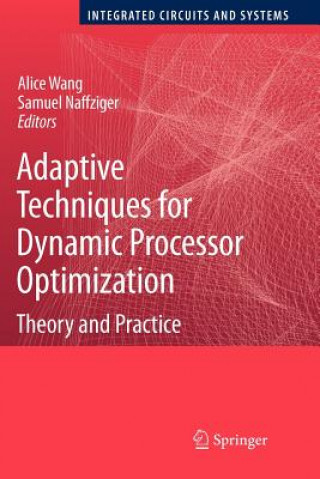 Adaptive Techniques for Dynamic Processor Optimization