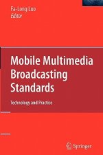 Mobile Multimedia Broadcasting Standards