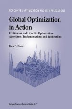 Global Optimization in Action