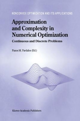Approximation and Complexity in Numerical Optimization