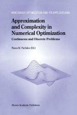 Approximation and Complexity in Numerical Optimization