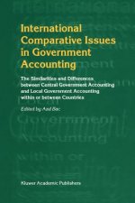 International Comparative Issues in Government Accounting