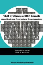 VLSI Synthesis of DSP Kernels