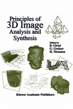 Principles of 3D Image Analysis and Synthesis