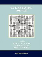On-Line Testing for VLSI