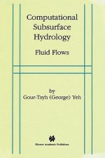 Computational Subsurface Hydrology