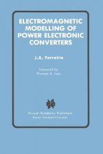 Electromagnetic Modelling of Power Electronic Converters