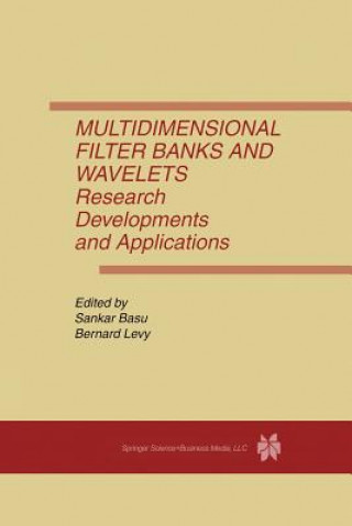 Multidimensional Filter Banks and Wavelets