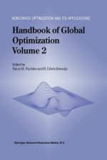 Handbook of Global Optimization Volume 2
