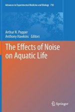 Effects of Noise on Aquatic Life