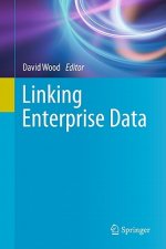 Linking Enterprise Data