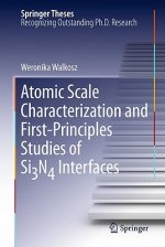 Atomic Scale Characterization and First-Principles Studies of Si3N4 Interfaces