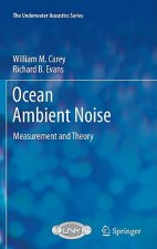 Ocean Ambient Noise