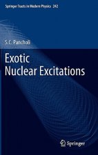 Exotic Nuclear Excitations