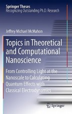 Topics in Theoretical and Computational Nanoscience