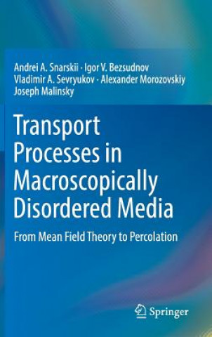 Transport Properties in Macroscopically Inhomogeneous Media