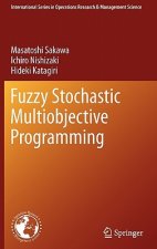 Fuzzy Stochastic Multiobjective Programming