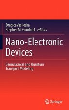 Nano-Electronic Devices