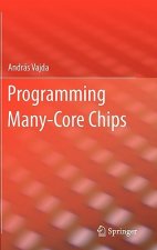 Programming Many-Core Chips