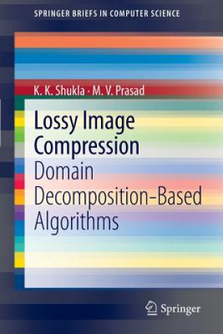 Lossy Image Compression
